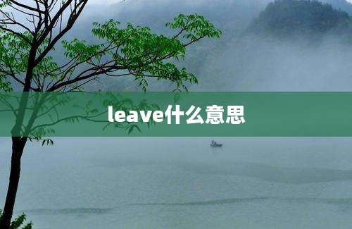 leave什么意思