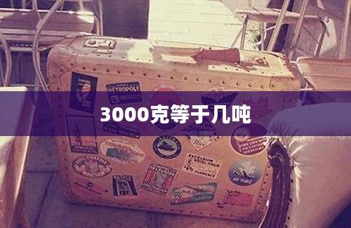 3000克等于几吨