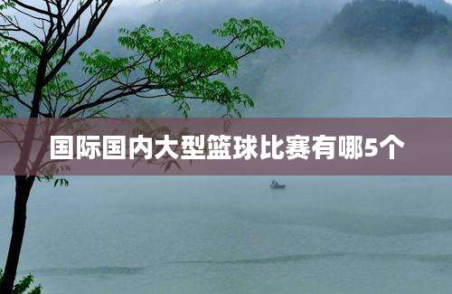 国际国内大型篮球比赛有哪5个