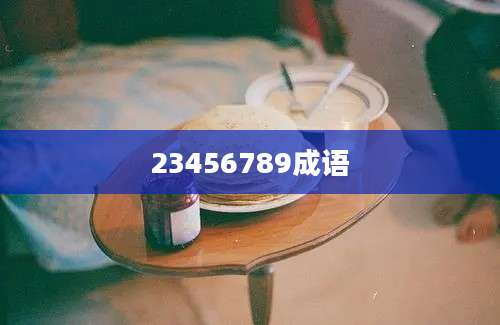 23456789成语