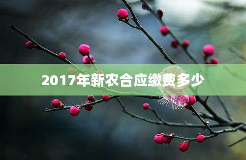 2017年新农合应缴费多少