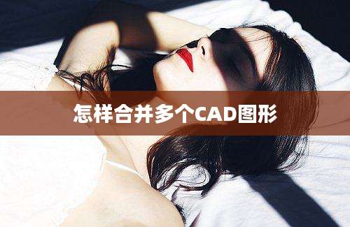 怎样合并多个CAD图形