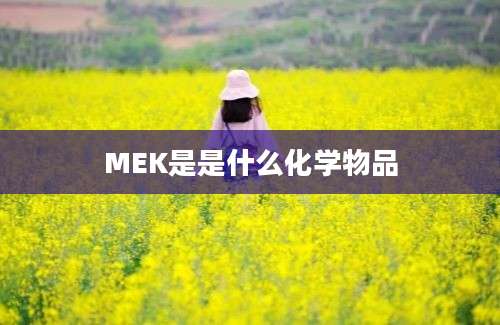 MEK是是什么化学物品