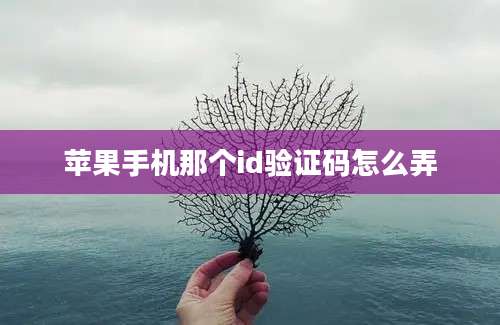 苹果手机那个id验证码怎么弄