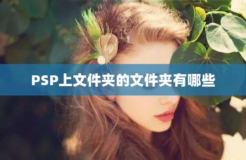 PSP上文件夹的文件夹有哪些