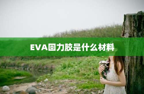 EVA回力胶是什么材料