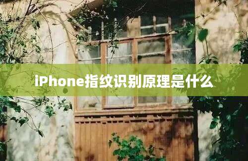 iPhone指纹识别原理是什么