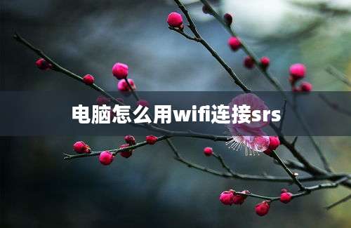 电脑怎么用wifi连接srs