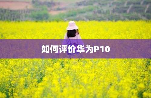 如何评价华为P10