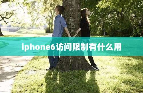 iphone6访问限制有什么用