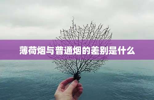 薄荷烟与普通烟的差别是什么