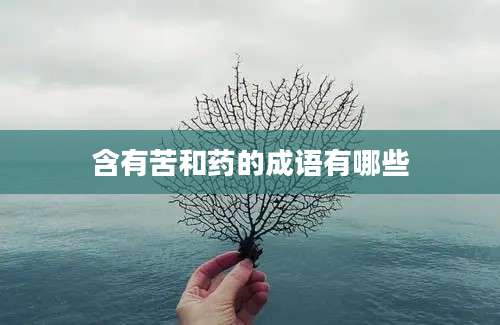 含有苦和药的成语有哪些