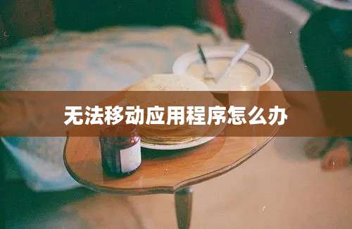 无法移动应用程序怎么办