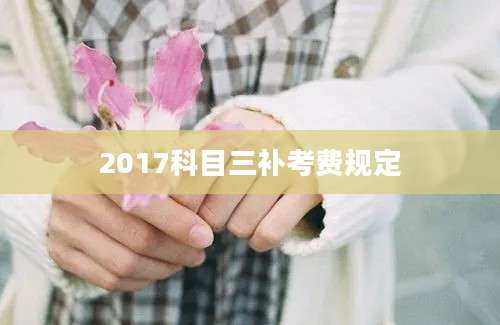 2017科目三补考费规定