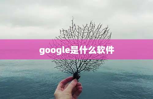 google是什么软件