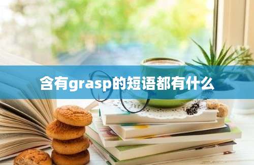 含有grasp的短语都有什么