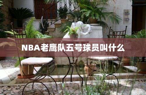 NBA老鹰队五号球员叫什么