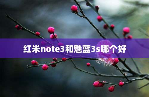 红米note3和魅蓝3s哪个好