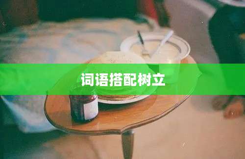 词语搭配树立