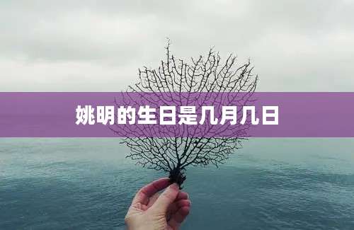 姚明的生日是几月几日