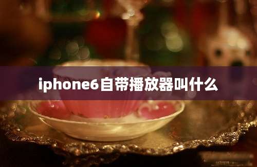 iphone6自带播放器叫什么