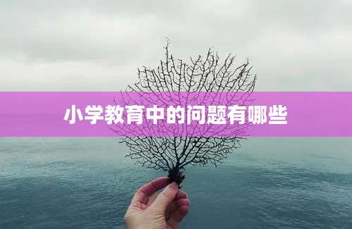 小学教育中的问题有哪些