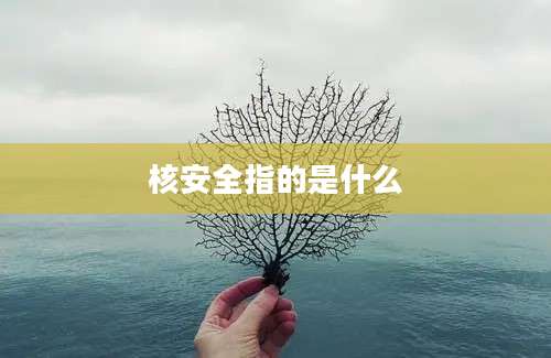 核安全指的是什么