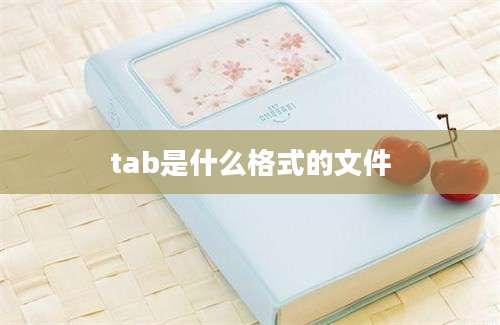 tab是什么格式的文件