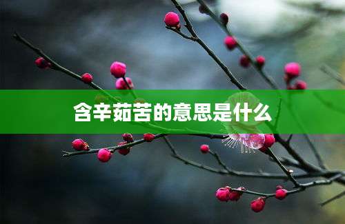 含辛茹苦的意思是什么