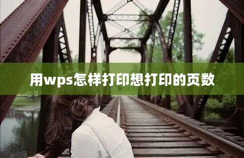 用wps怎样打印想打印的页数