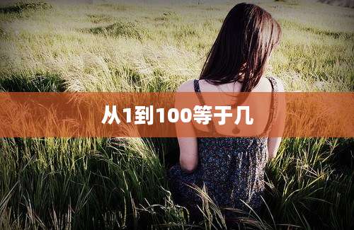 从1到100等于几