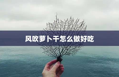 风吹萝卜干怎么做好吃