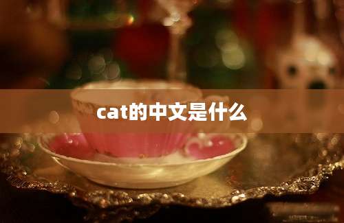 cat的中文是什么