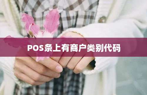 POS条上有商户类别代码