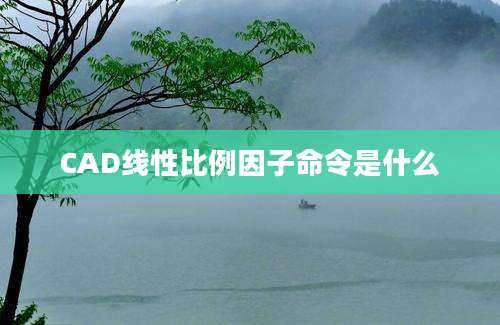 CAD线性比例因子命令是什么