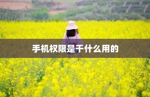 手机权限是干什么用的