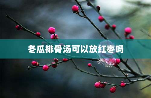 冬瓜排骨汤可以放红枣吗