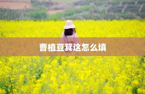 曹植豆箕这怎么填