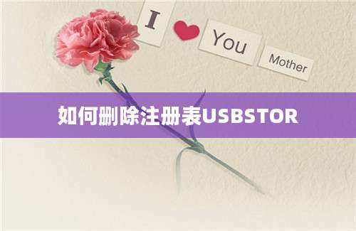 如何删除注册表USBSTOR