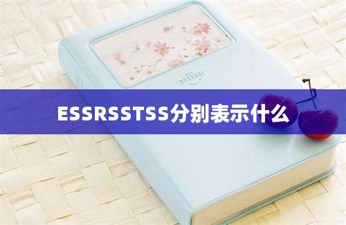 ESSRSSTSS分别表示什么