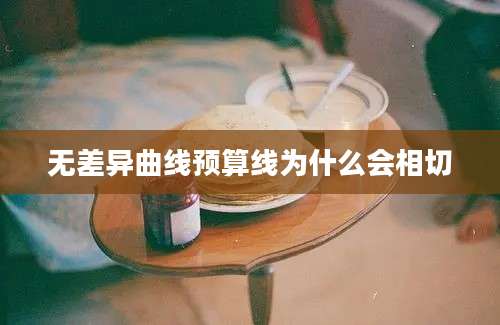 无差异曲线预算线为什么会相切