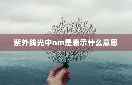 紫外线光中nm是表示什么意思