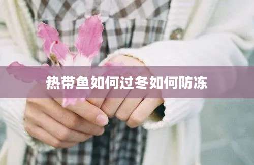 热带鱼如何过冬如何防冻