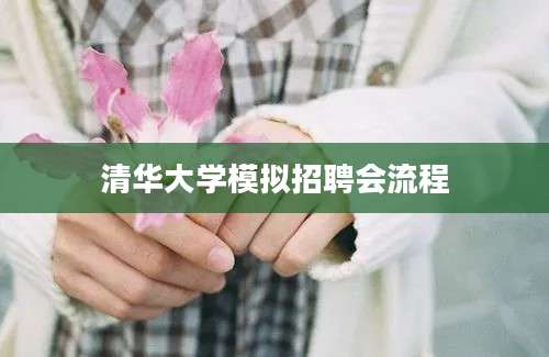 清华大学模拟招聘会流程