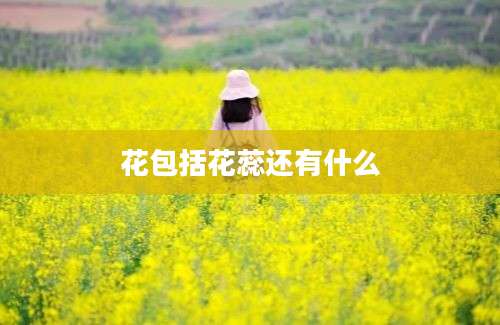 花包括花蕊还有什么