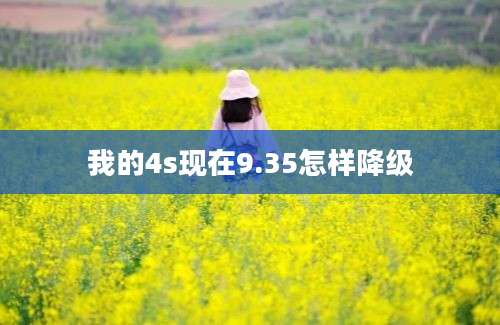 我的4s现在9.35怎样降级