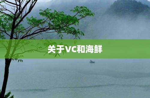 关于VC和海鲜