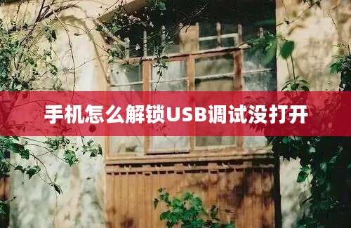 手机怎么解锁USB调试没打开