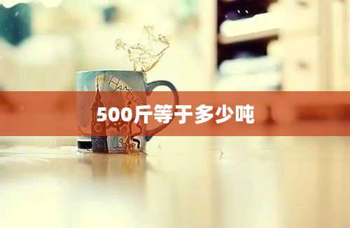 500斤等于多少吨