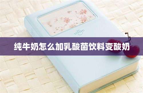 纯牛奶怎么加乳酸菌饮料变酸奶